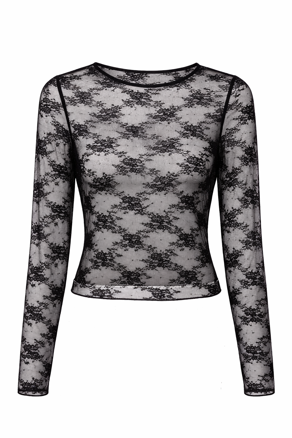 Sheer Lace Long Sleeve Top