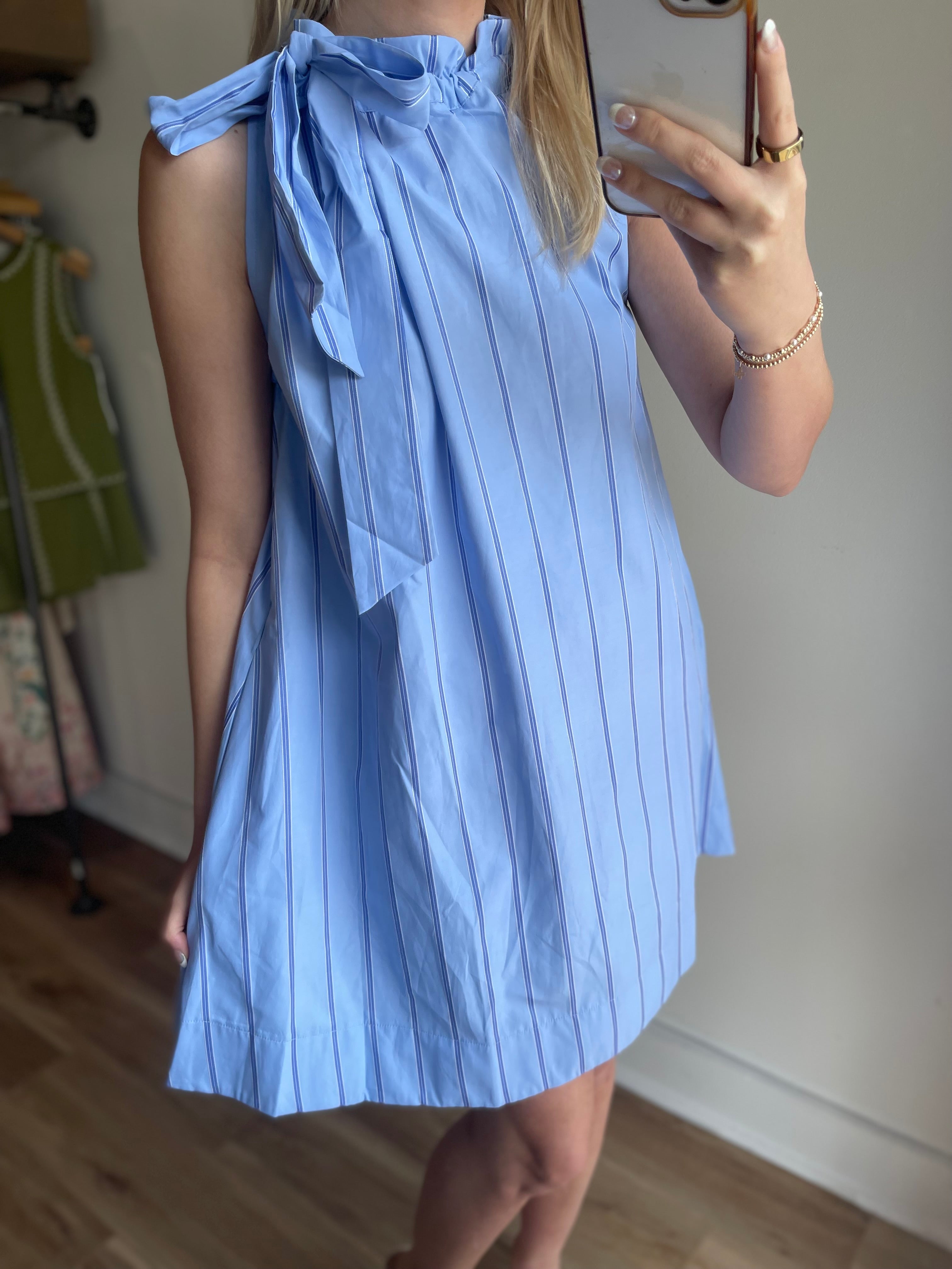 Adaline Stripe Mini Dress