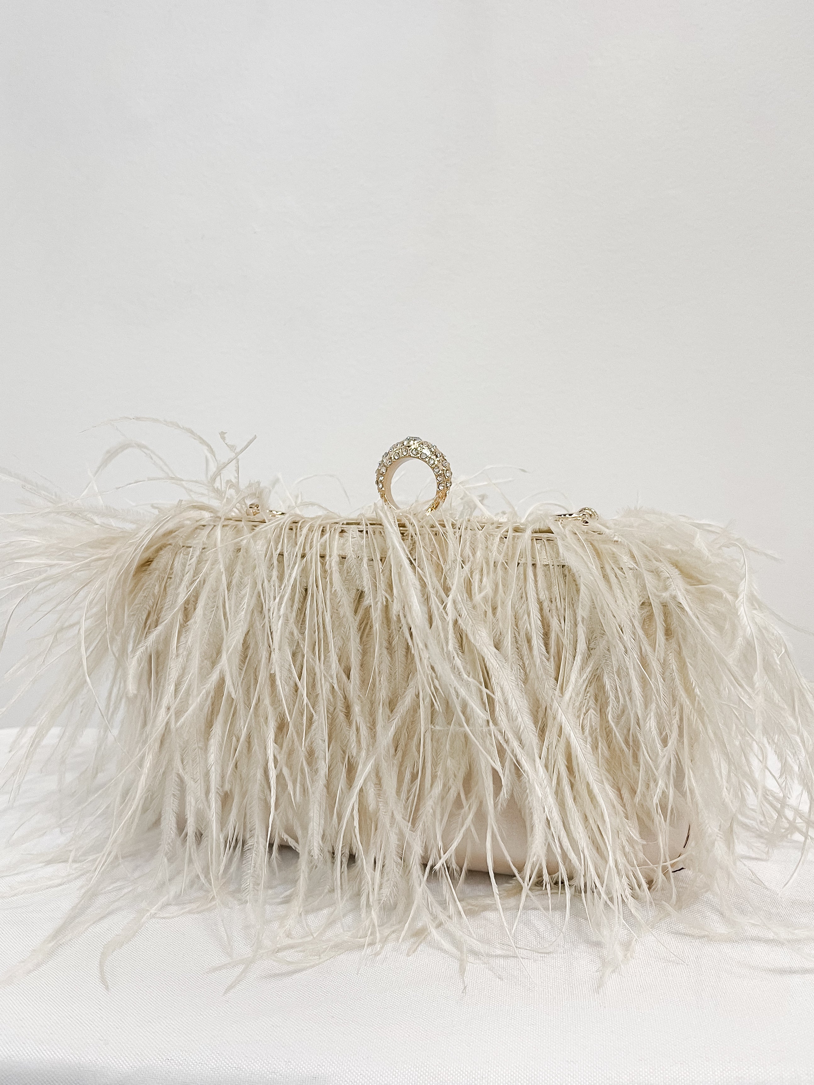 Feather Evening Clutch