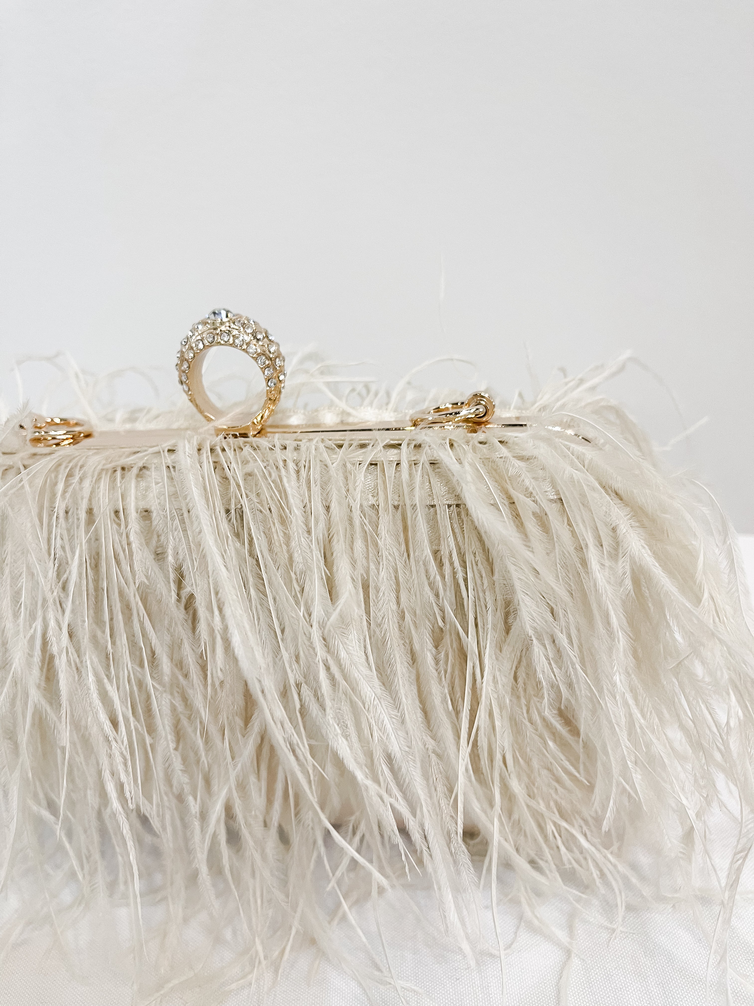 Feather Evening Clutch