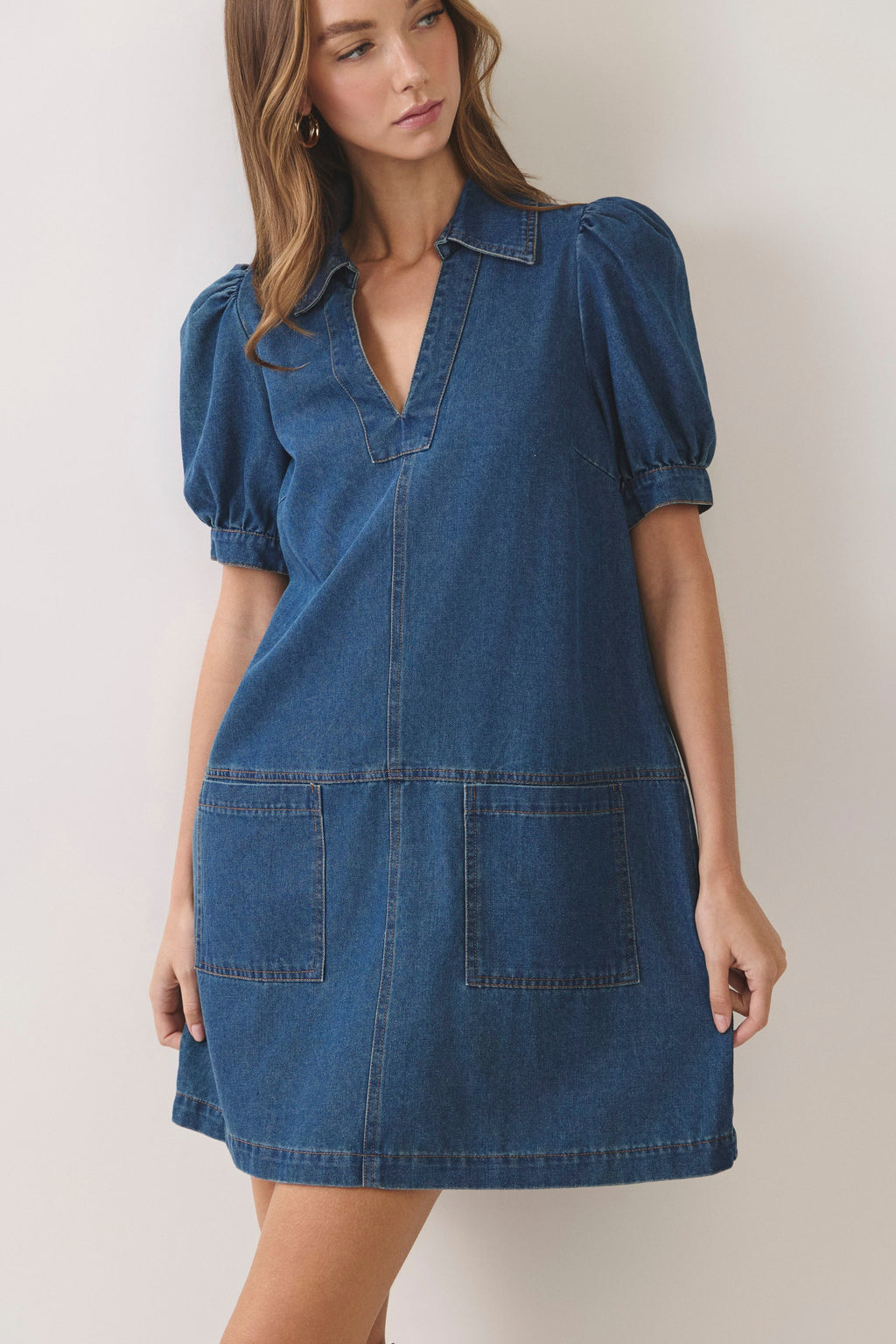Nash Denim Mini Dress