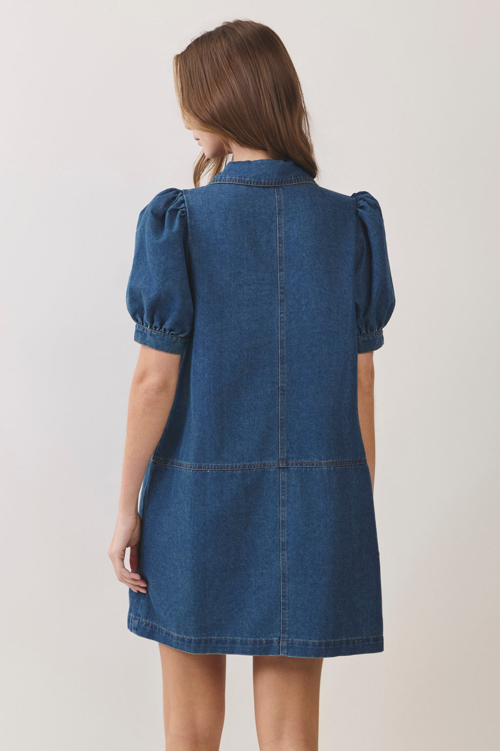 Nash Denim Mini Dress