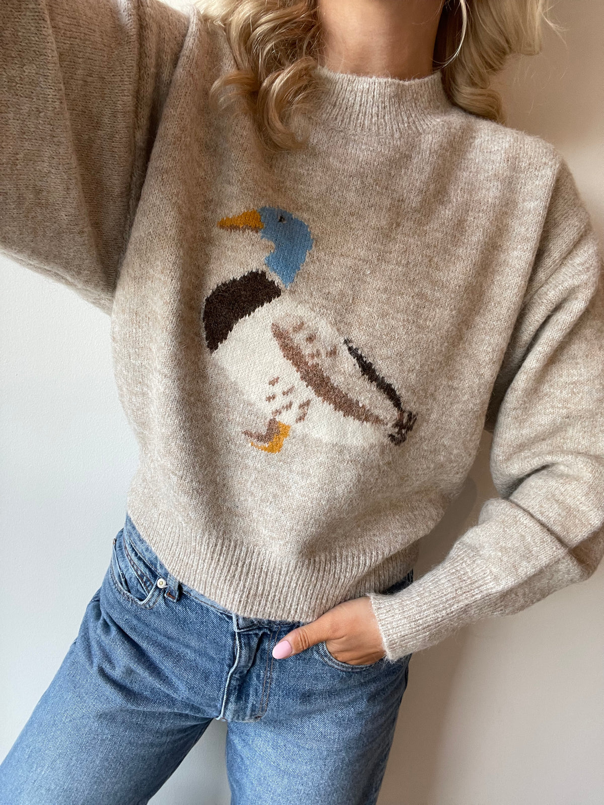 Duck Pullover Sweater