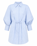 Brailey Mini Dress