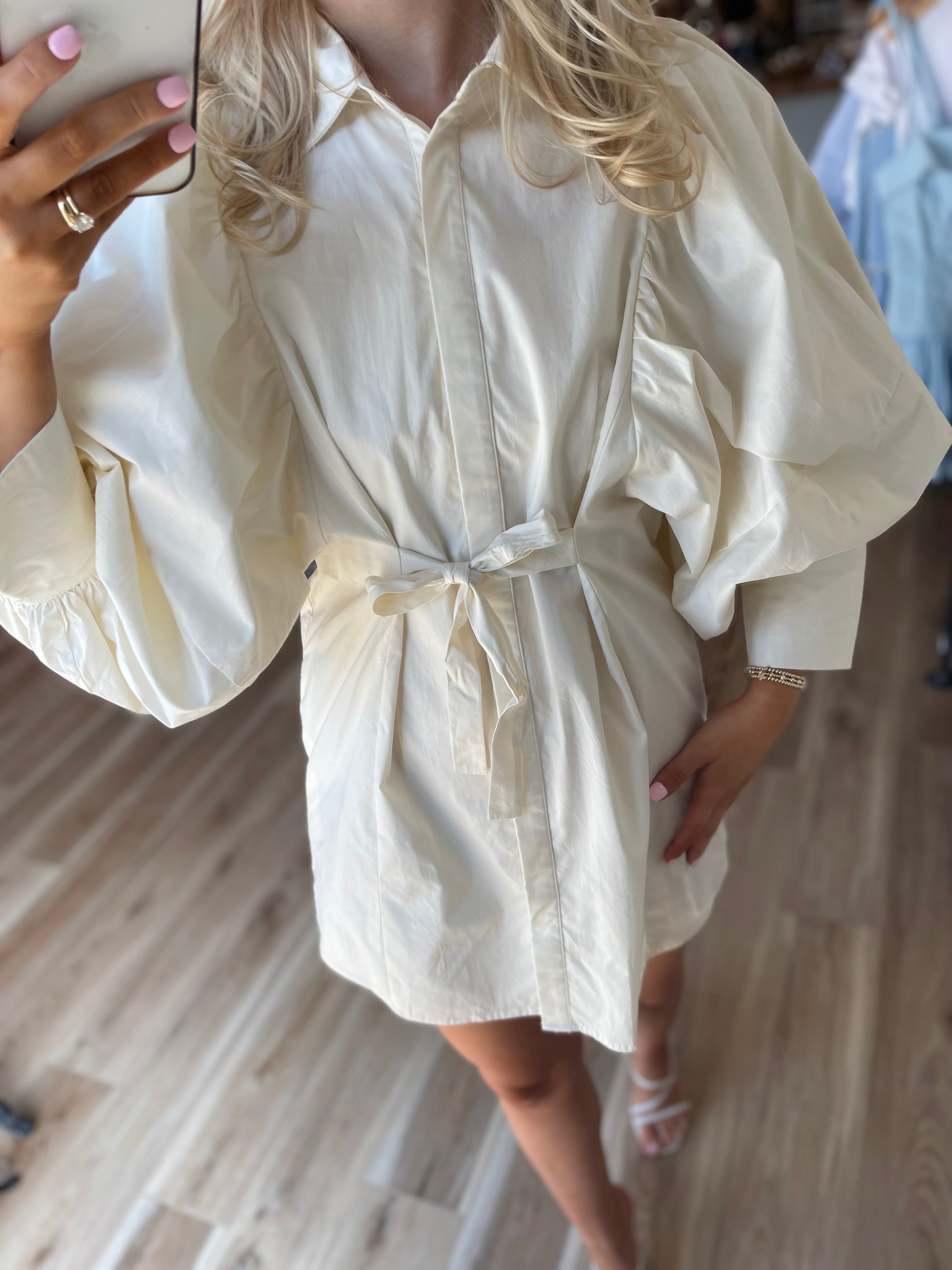 Remington Mini Dress