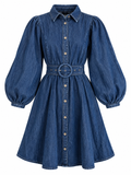 Demi Denim Mini Dress