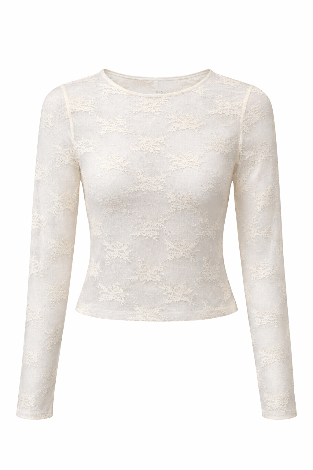 Sheer Lace Long Sleeve Top