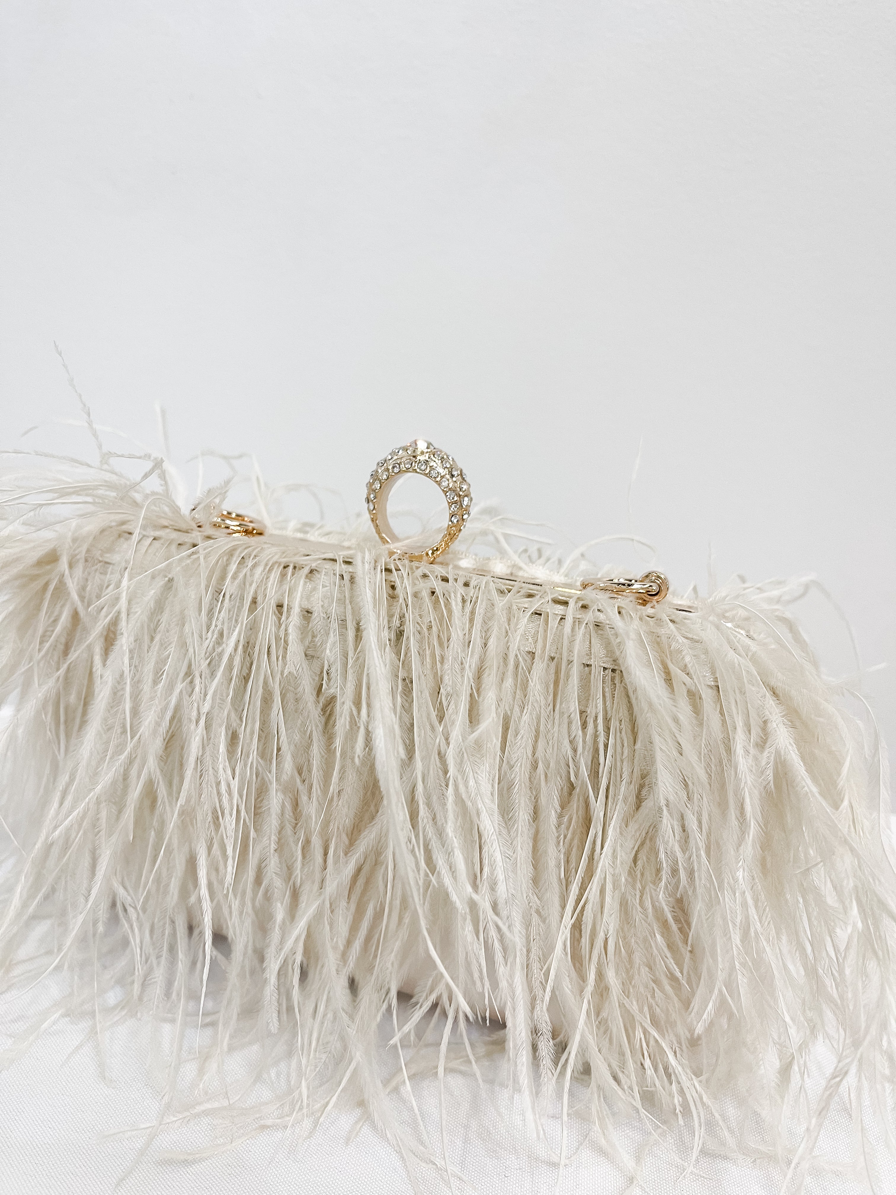 Feather Evening Clutch