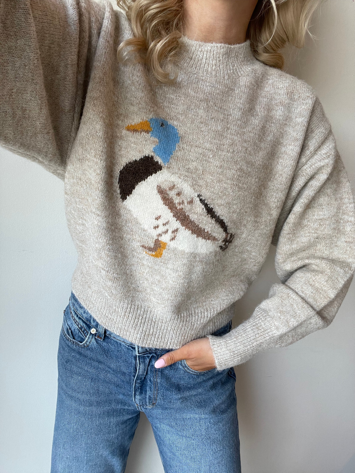 Duck Pullover Sweater