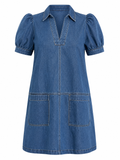 Nash Denim Mini Dress