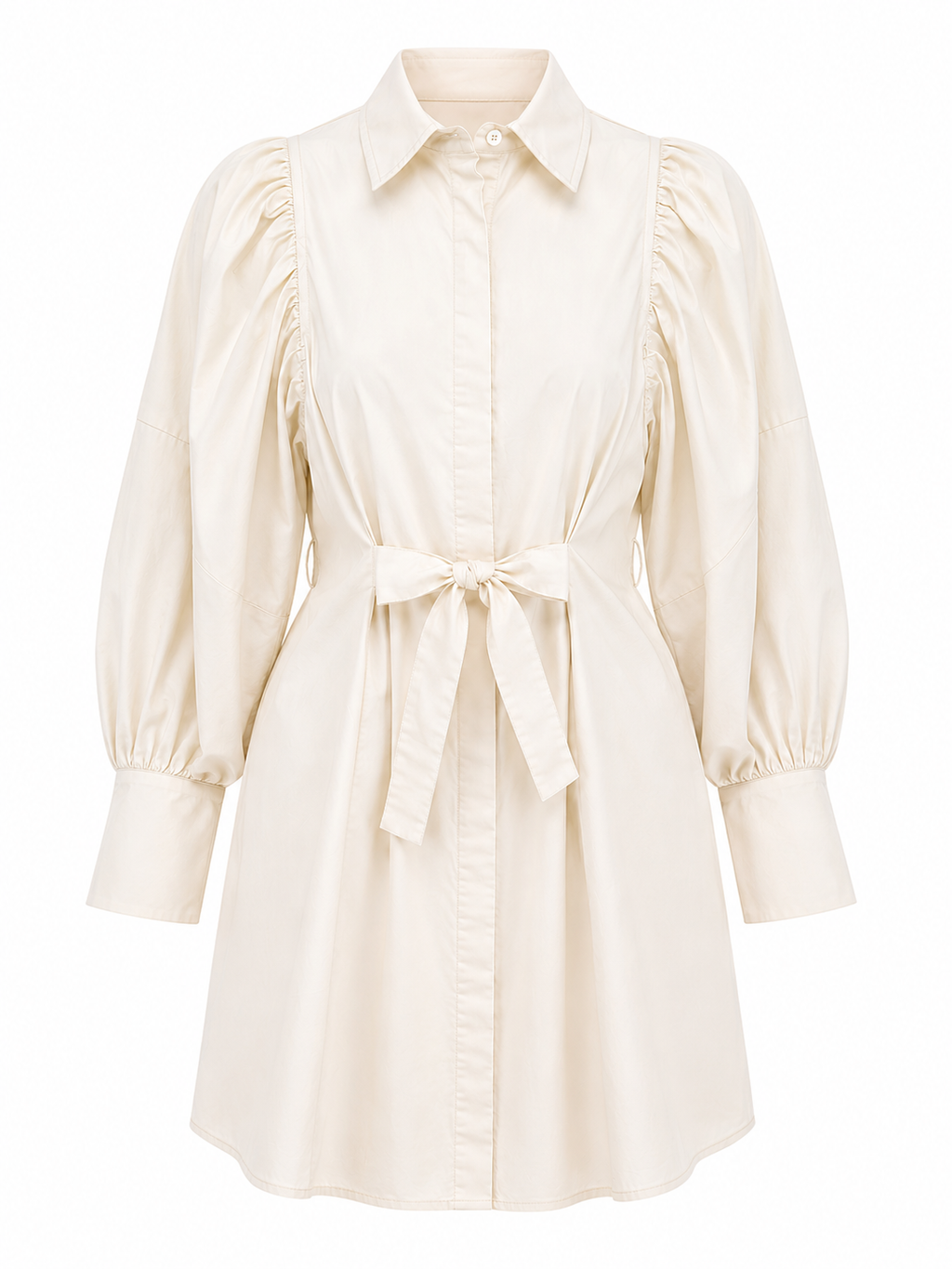 Remington Mini Dress